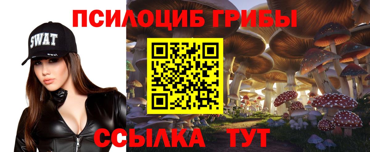 Псилоцибиновые грибы ЛСД Майский